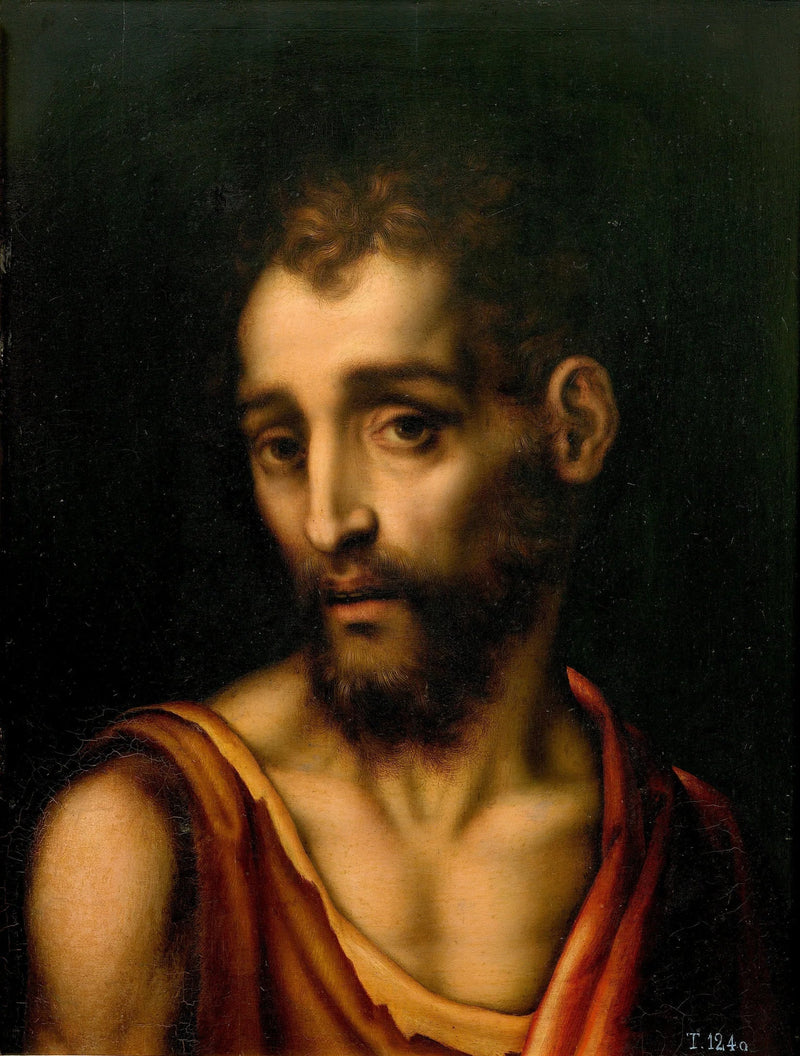 Saint John the Baptist - Luis de Morales