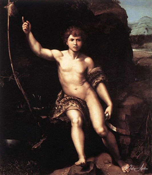 Saint Jean Baptiste - Raphaël (peintre) - Reproductions de tableaux et peintures haut de gamme