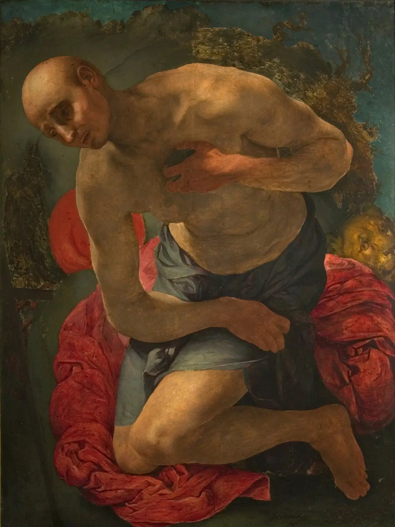 Saint Jerome Penitent - Pontormo