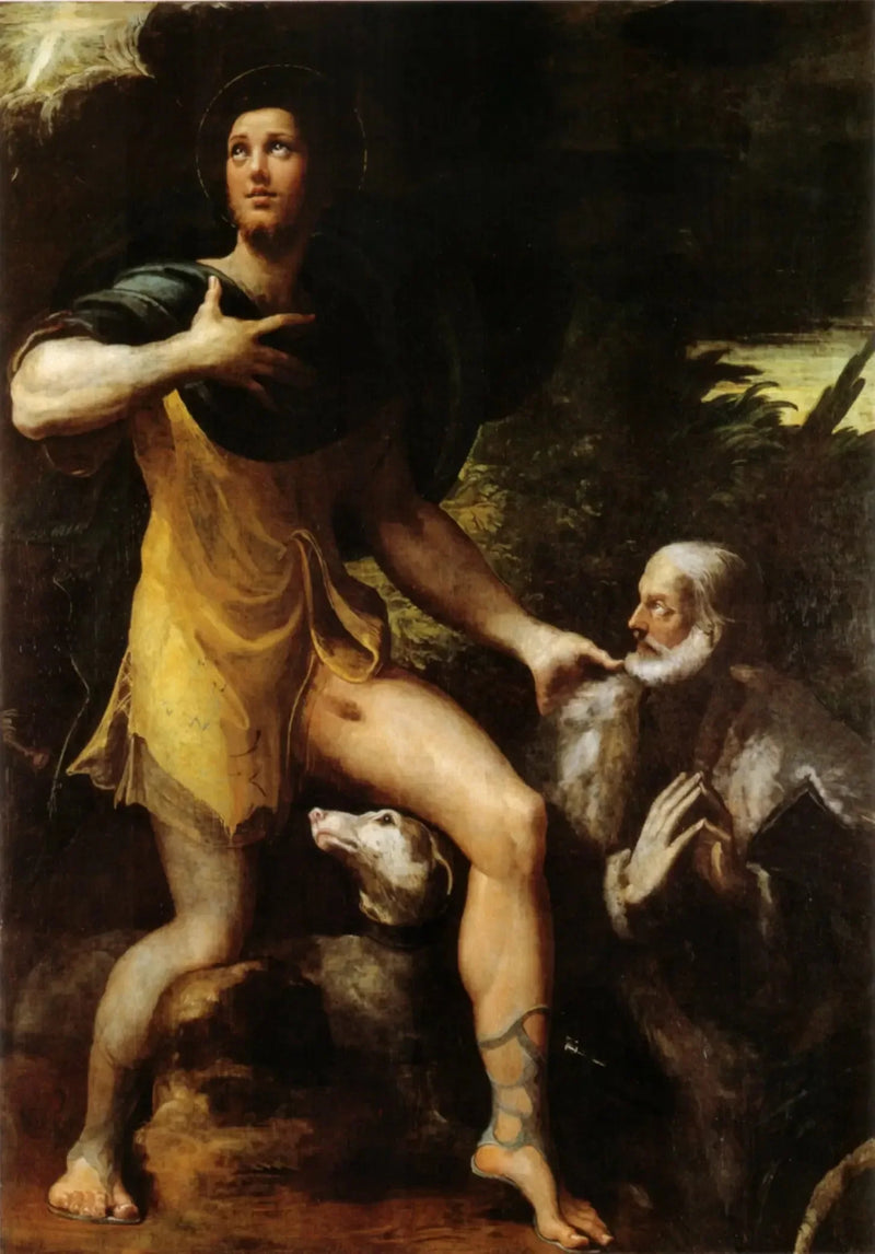 Saint Roch and a Donor - Parmigianino