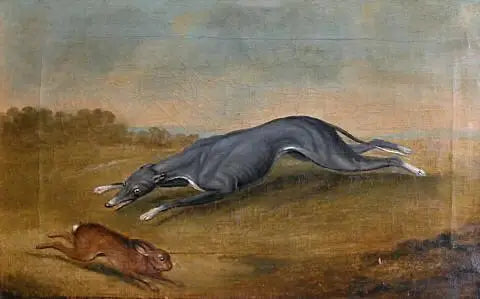 Untitled (Dog Hunting a Hare) - George Stubbs
