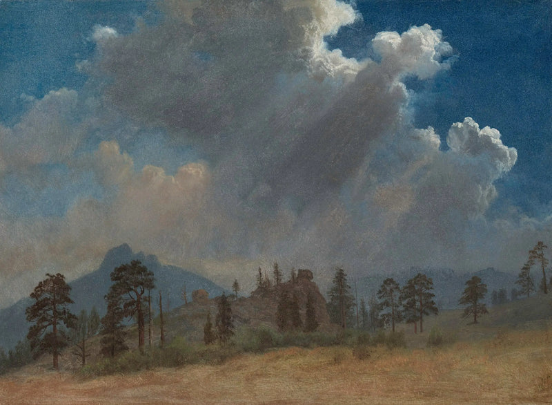 Pines and Storm Clouds - Albert Bierstadt