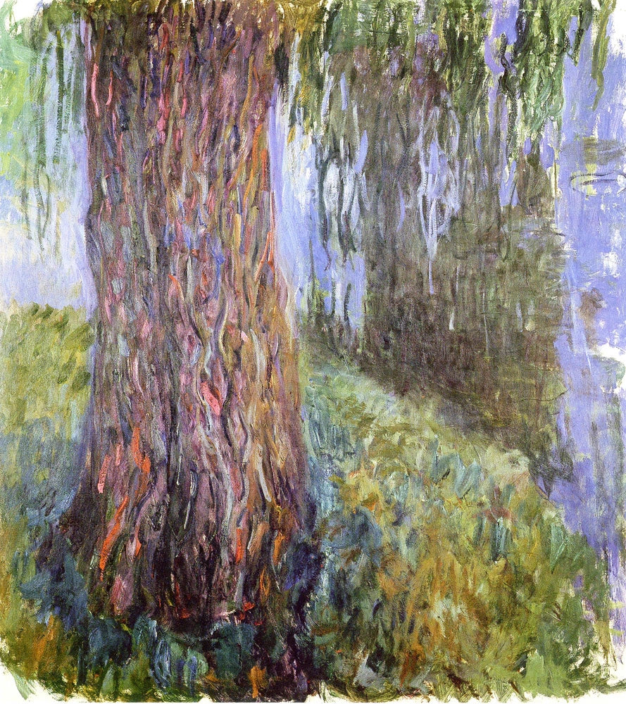 Saule pleureur et bassin aux nymphéas de Claude Monet, 1916–1919 – Musée Marmottan Monet 5125, Wildenstein 1848