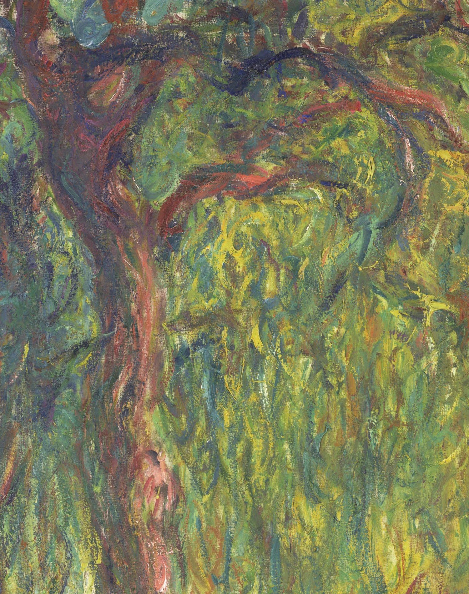 Détail du tronc rouge, des branches et des touches jaune vert du Saule pleureur W1876