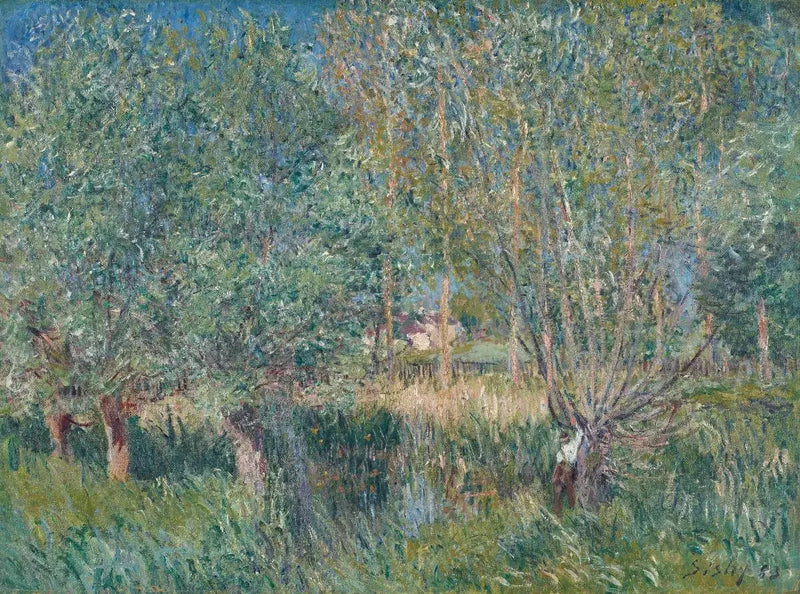 Willows on the Banks of the Orvanne - Alfred Sisley