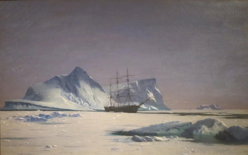 Scene in the Arctic - William Bradford
