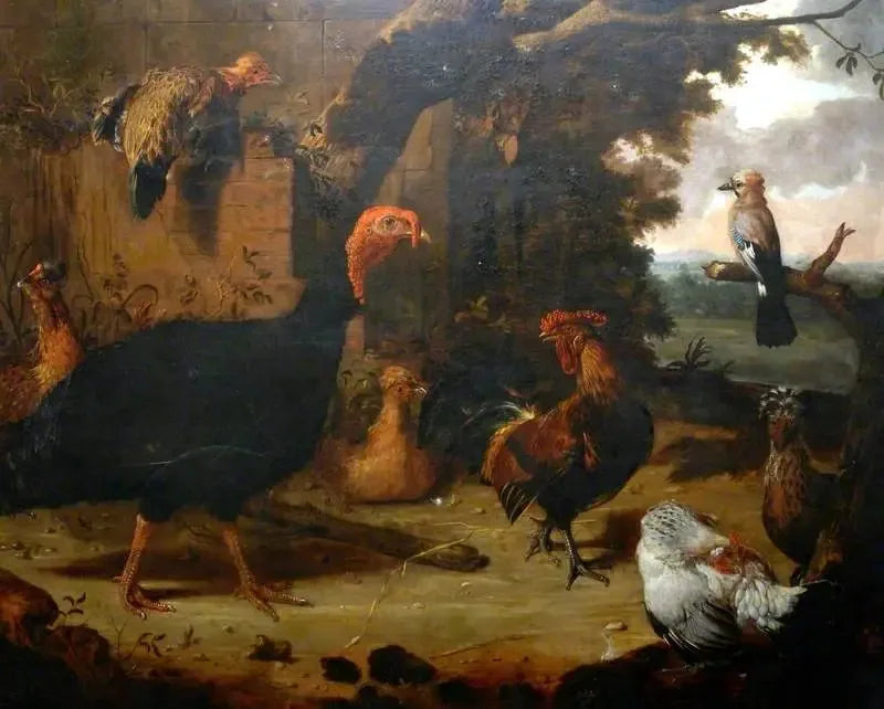 Farm Scene, the Black Turkey - Melchior de Hondecoeter