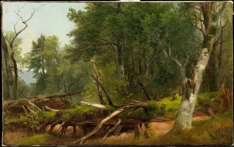 Forest Scene in the Catskills - Asher Brown Durand