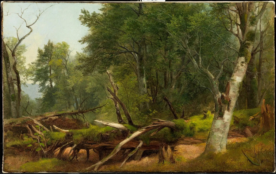 Scène de forêt dans les Catskills - Asher Brown Durand image 1 copie peinte à la main à l’huile