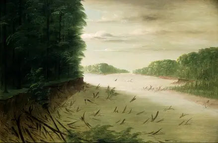 Scene of the Lower Mississippi - George Catlin