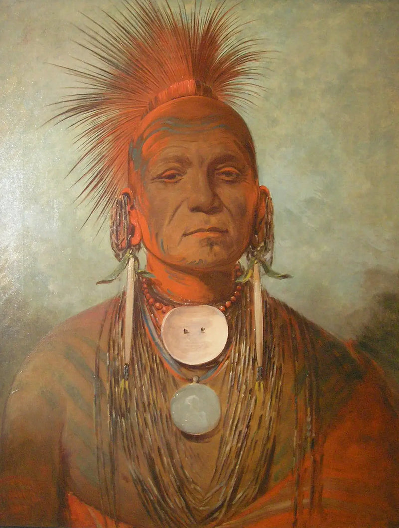 See-non-ty-a, an Iowa healer - George Catlin