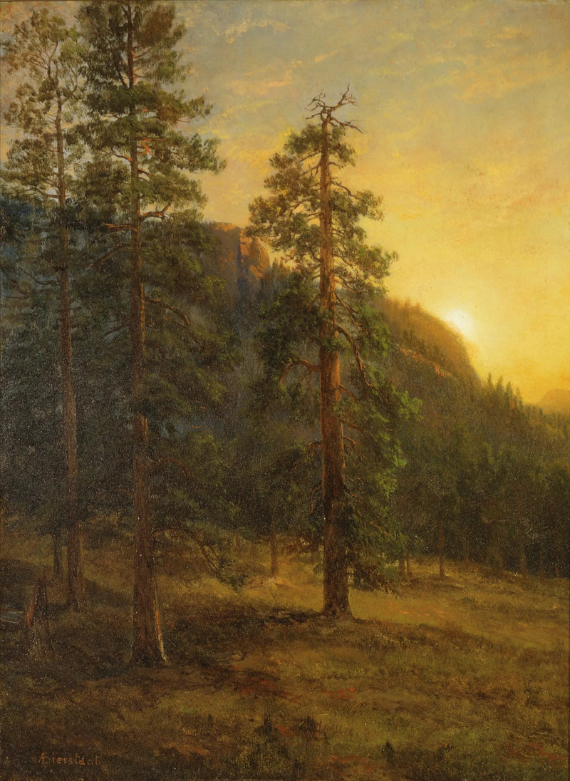Californian Sequoias - Albert Bierstadt
