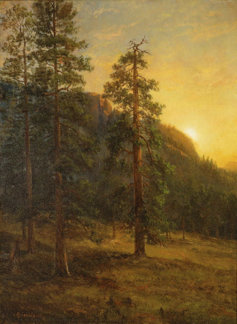 Californian Sequoias - Albert Bierstadt