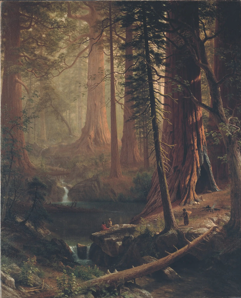 Giant Sequoias of California - Albert Bierstadt