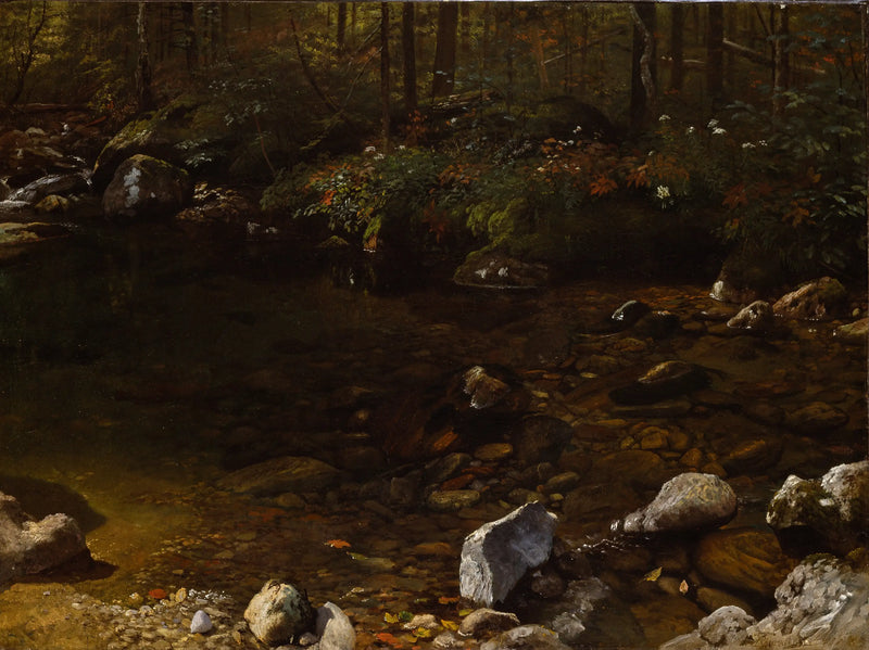 Shady Pool, White Mountains, New Hampshire - Albert Bierstadt