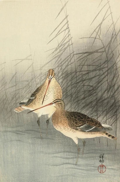 Oiseaux parmi les roseaux, œuvre de Ohara Koson