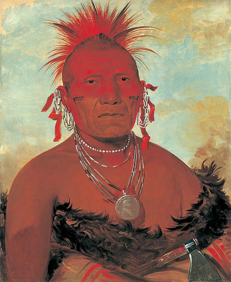 Shón-ka-ki-he-ga, chief of the horse, great Pawnee chief - George Catlin