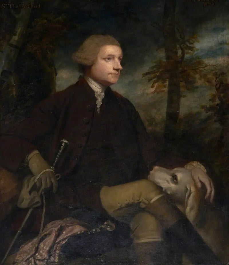 Sir Thomas Dyke Acland, 3rd/7th Baronet Acland of Columb-John MP (1722-1785) - Joshua Reynolds
