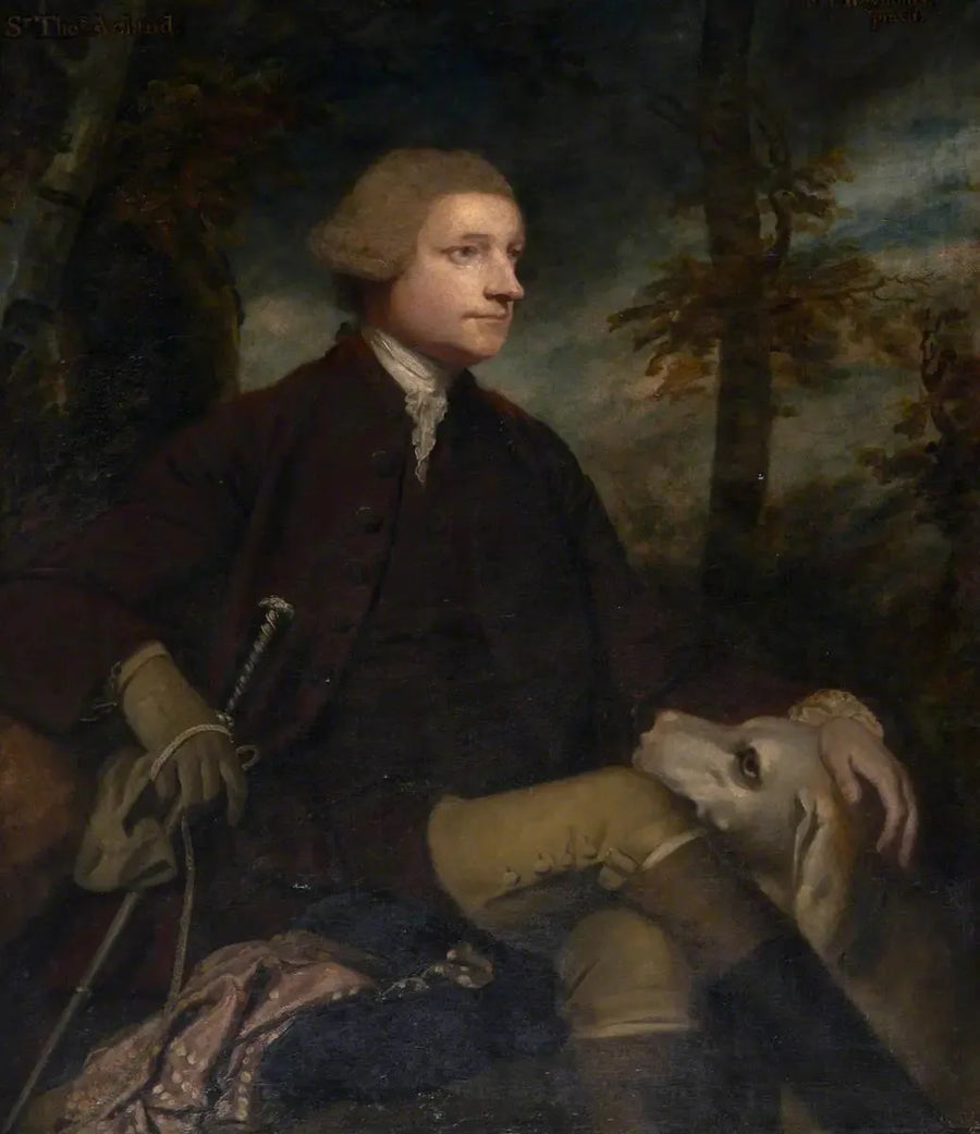 Sir Thomas Dyke Acland, 3rd/7th Baronet Acland of Columb-John MP (1722-1785) - Joshua Reynolds