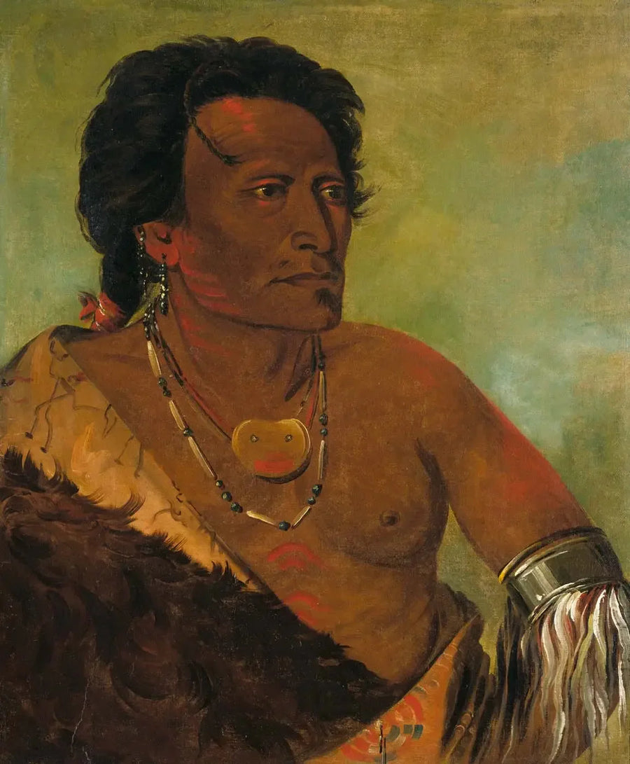 Sky-se-ró-ka, second chief of the tribe