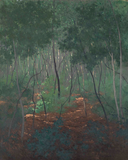 Underwood, Light Trees - Félix Vallotton