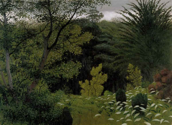 Underbrush - Félix Vallotton