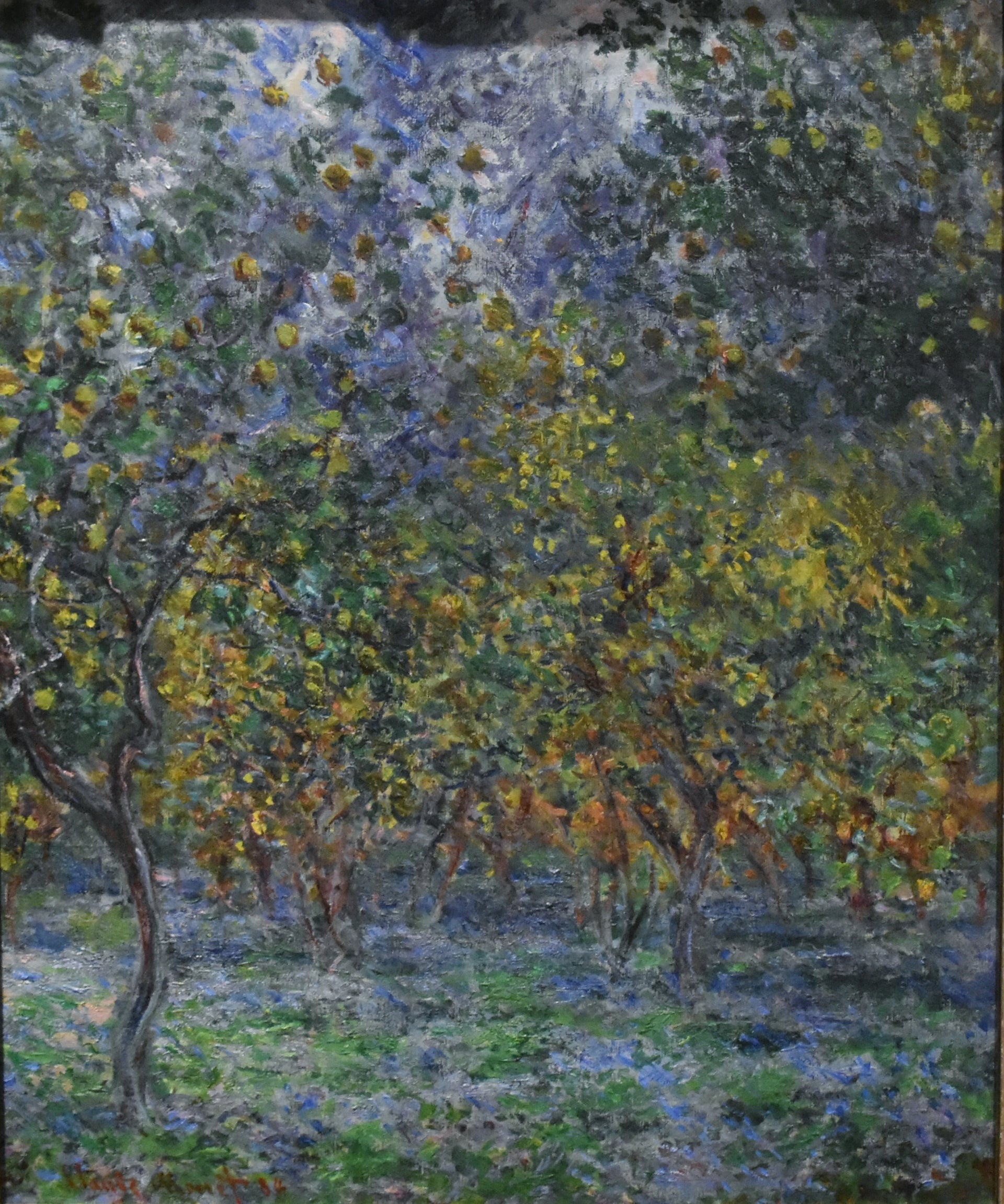 Sous les citronniers W873 de Claude Monet – Ny Carlsberg Glyptotek MIN 1968
