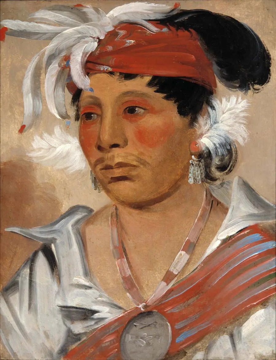 A Renowned Warrior - George Catlin