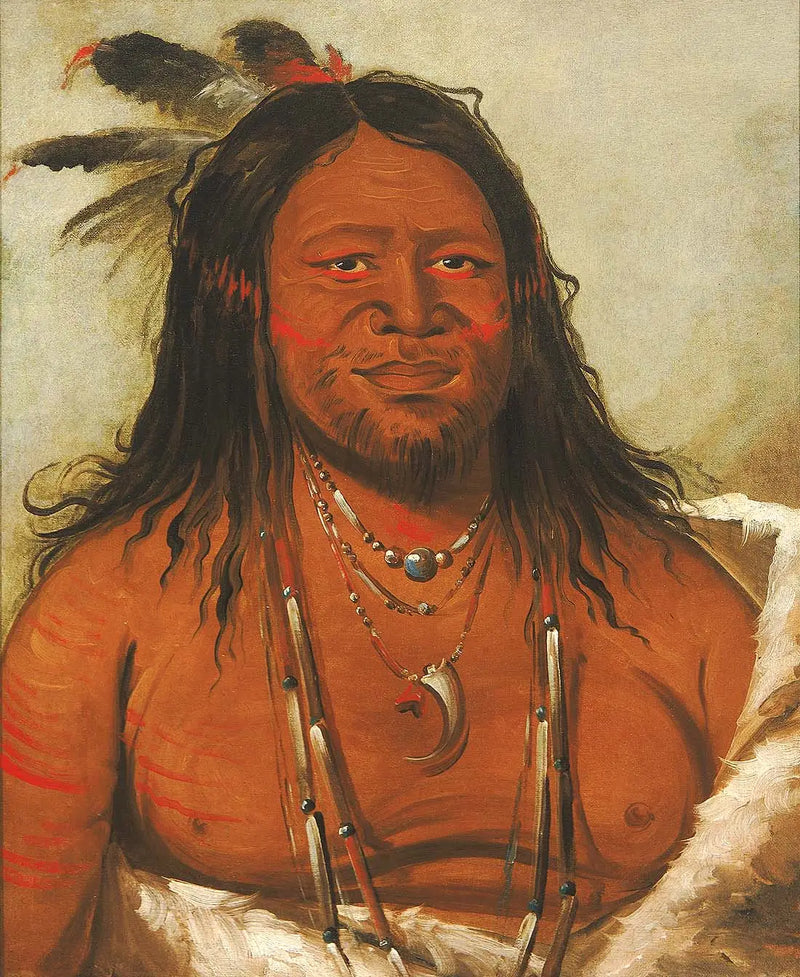 Ta-wáh-que-nah, Mountain of Rocks, Second Chief of the Tribe - George Catlin