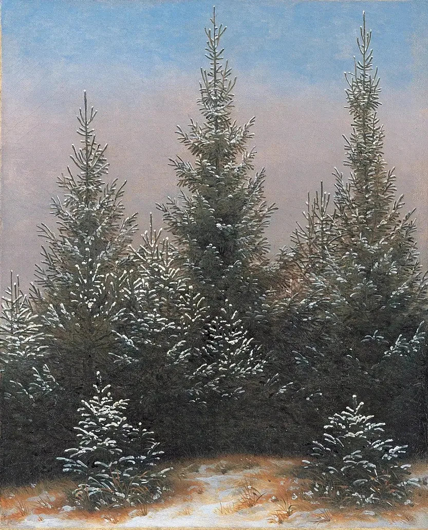Thicket of the Spicy in Snow - Caspar David Friedrich