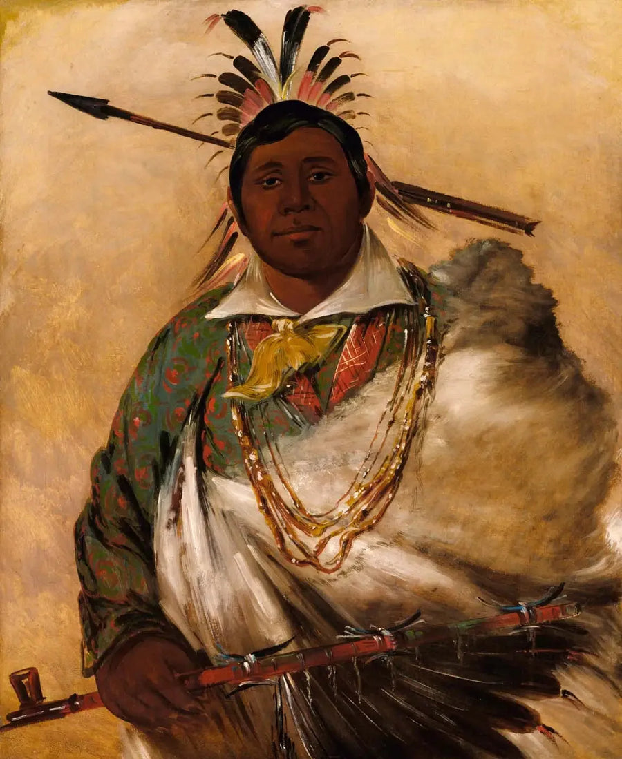 Téh-ke-néh-kee, black coat, a chief - George Catlin