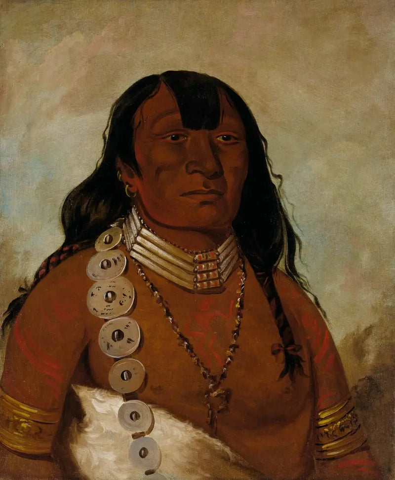 Téh-tóot-sah (better known as Tohausen, Little Bluff), premier chef - George Catlin