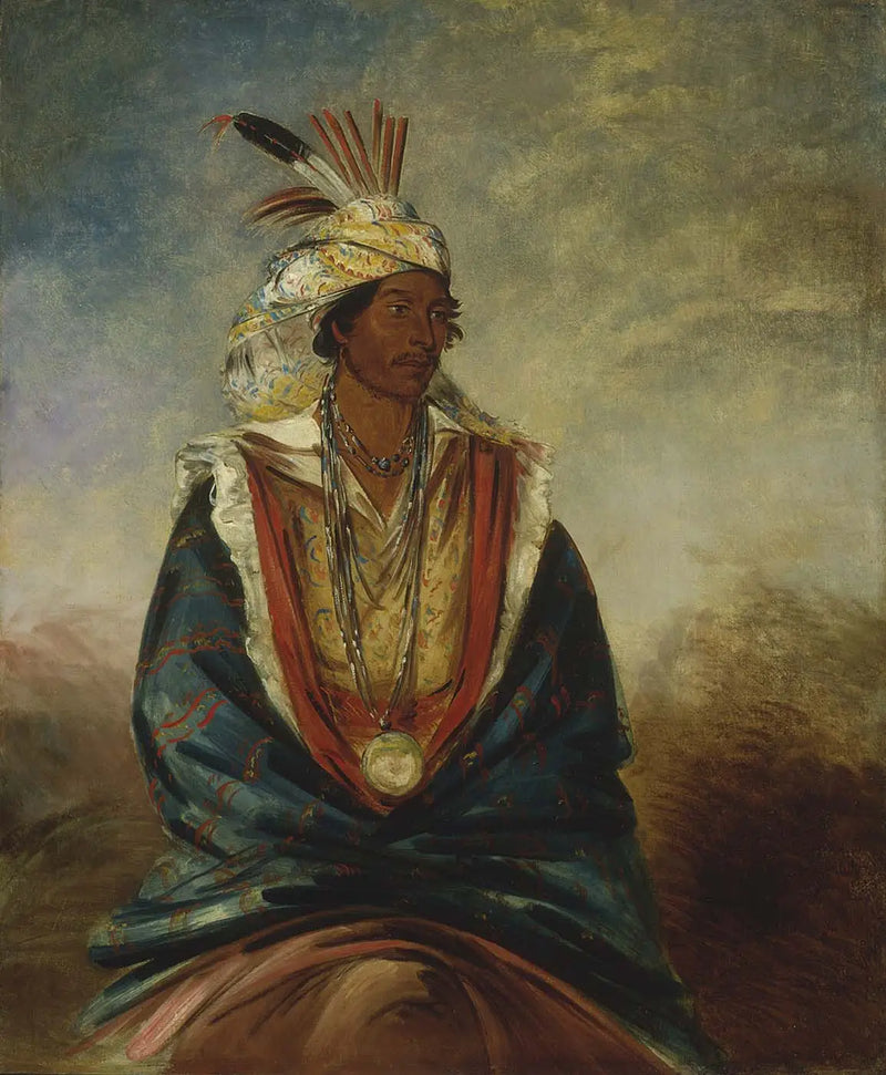 Tel-maz-há-za, a distinguished warrior - George Catlin