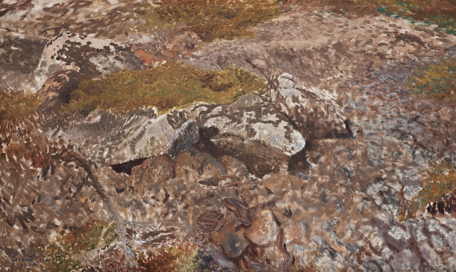 Serpentine terrain - Bruno Liljefors