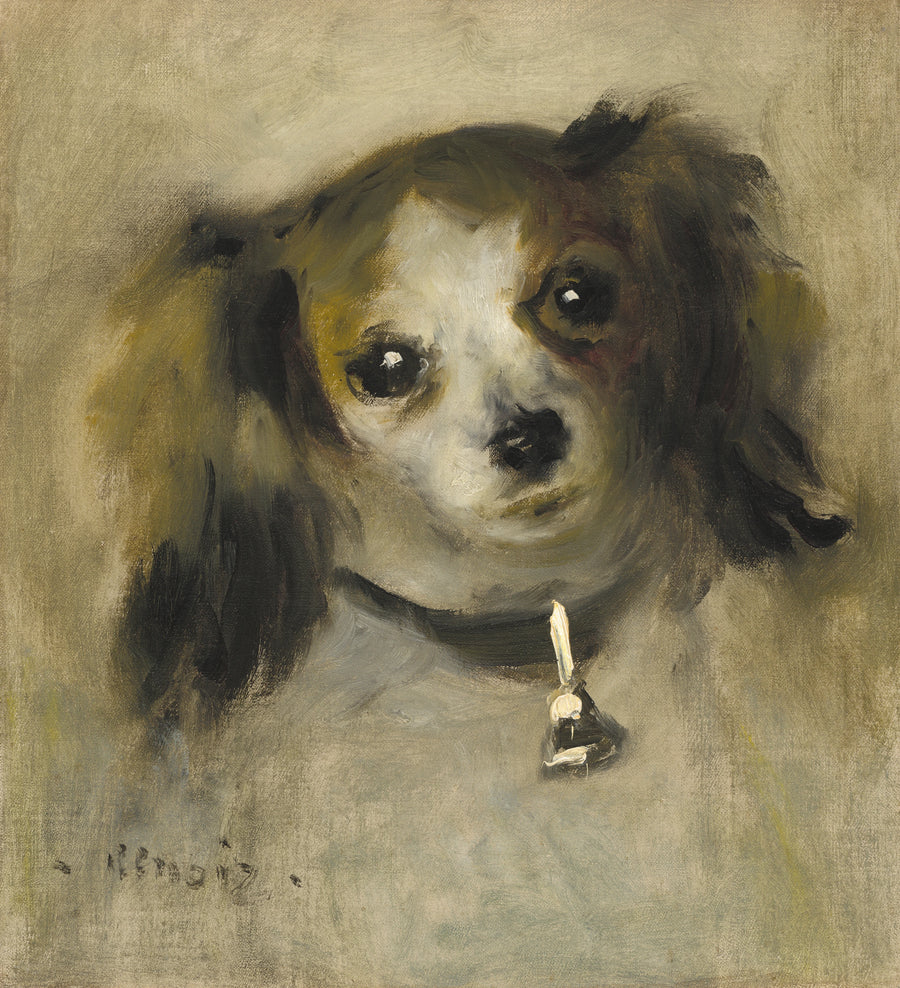 Dog Head - Pierre-Auguste Renoir