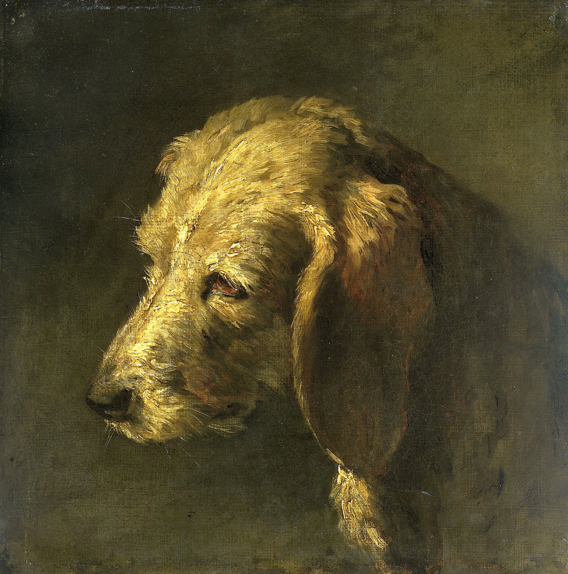 Tête de chien - Nicolas-Toussaint Charlet