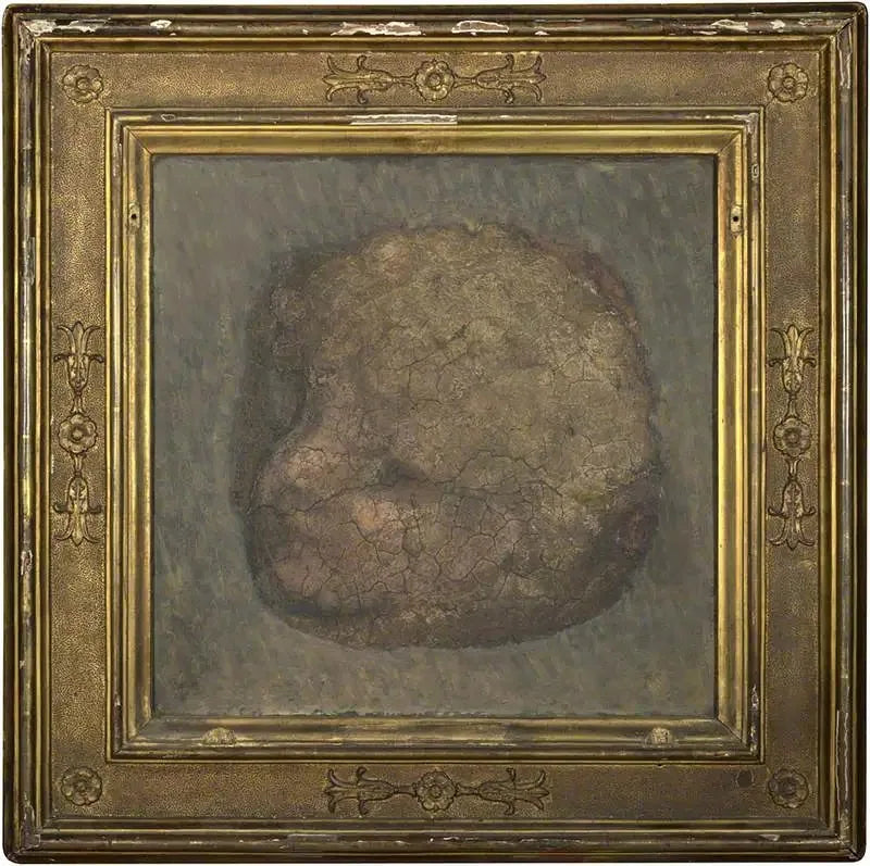 Angel Head - Antonio da Correggio