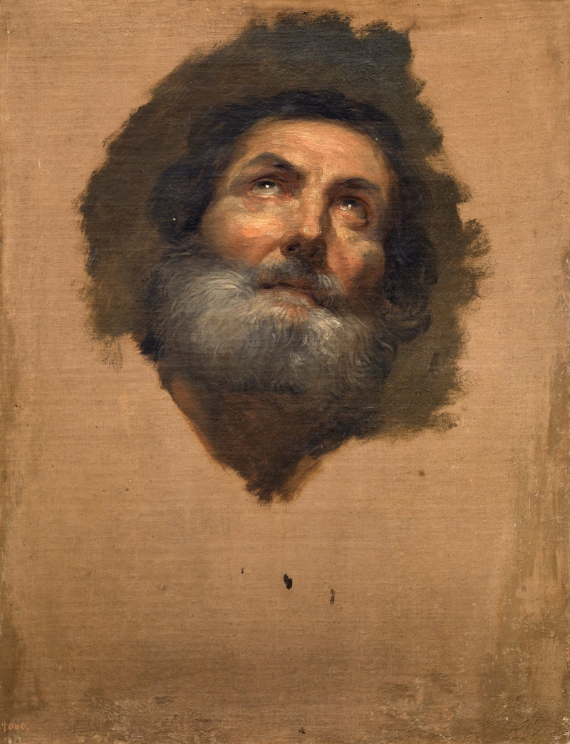 Head of an Apostle (Prado Museum, inv P02202) - Anton Raphael Mengs