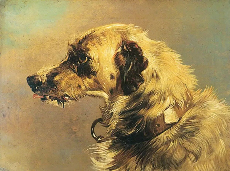 Head of a Hound - Edwin Henry Landseer