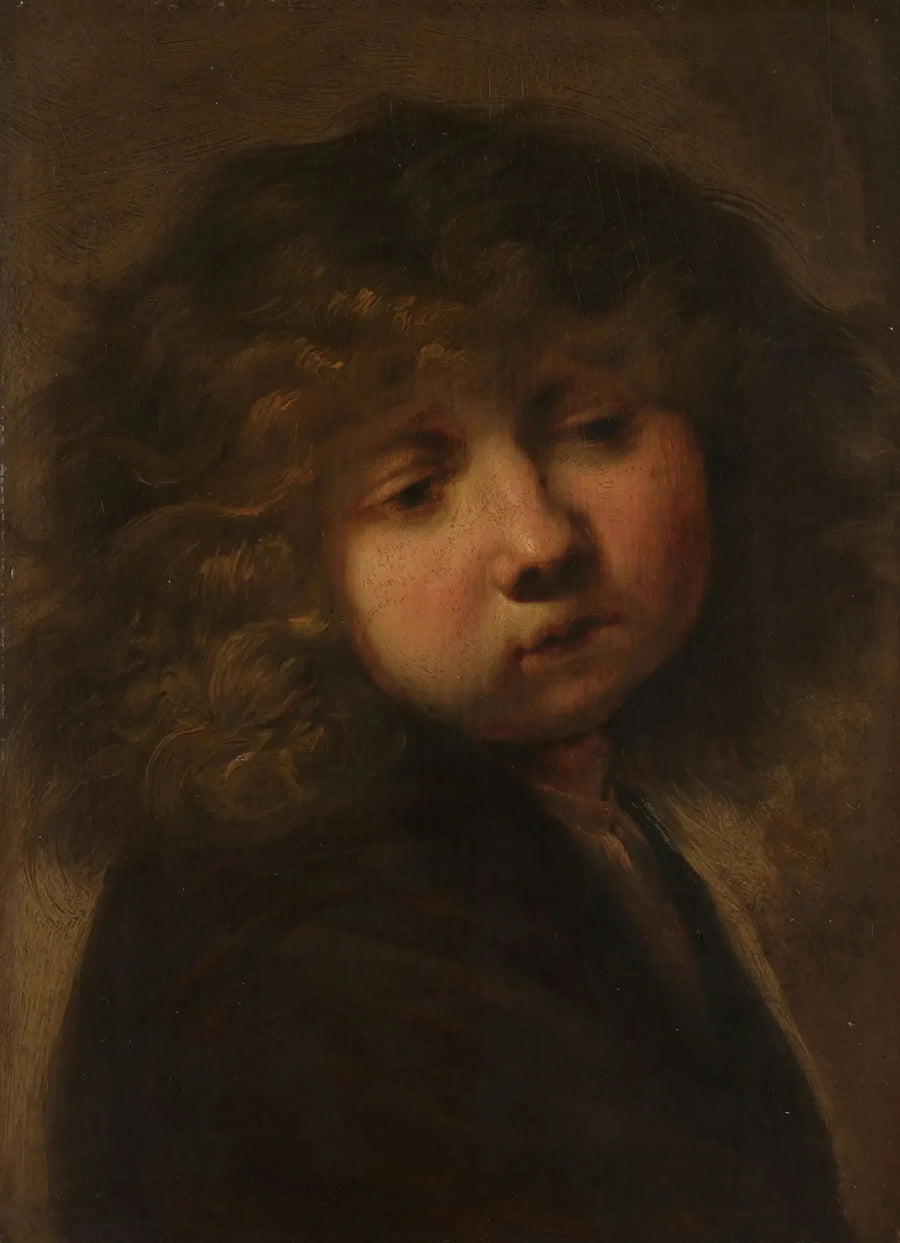 Head of a Boy - Rembrandt
