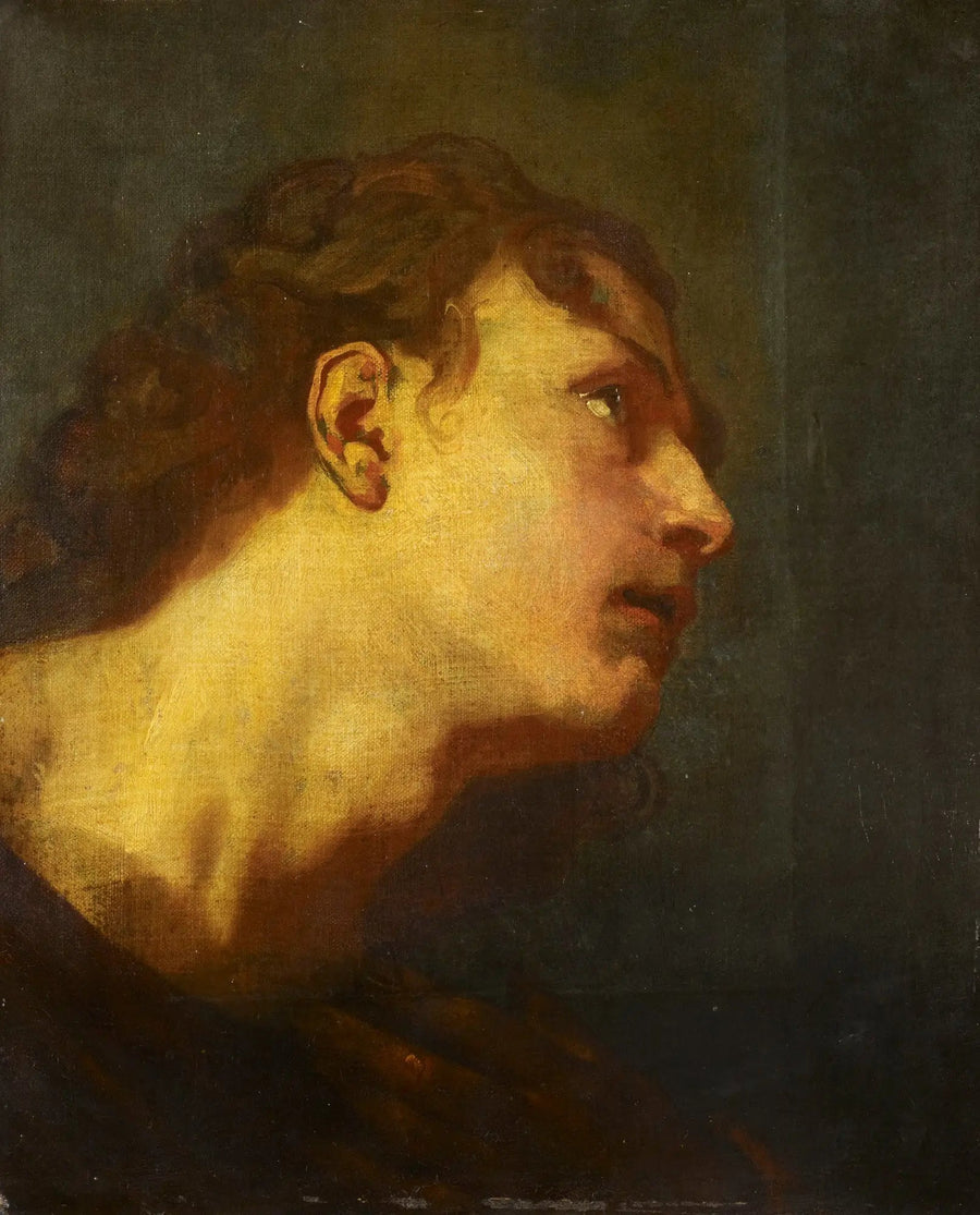 Head of a Young Man - Antoine van Dyck