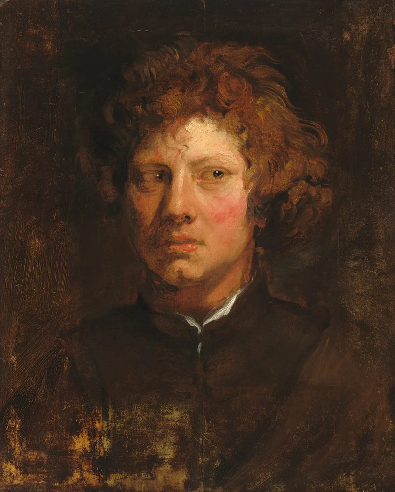 Head of a Young Man - Antoine van Dyck