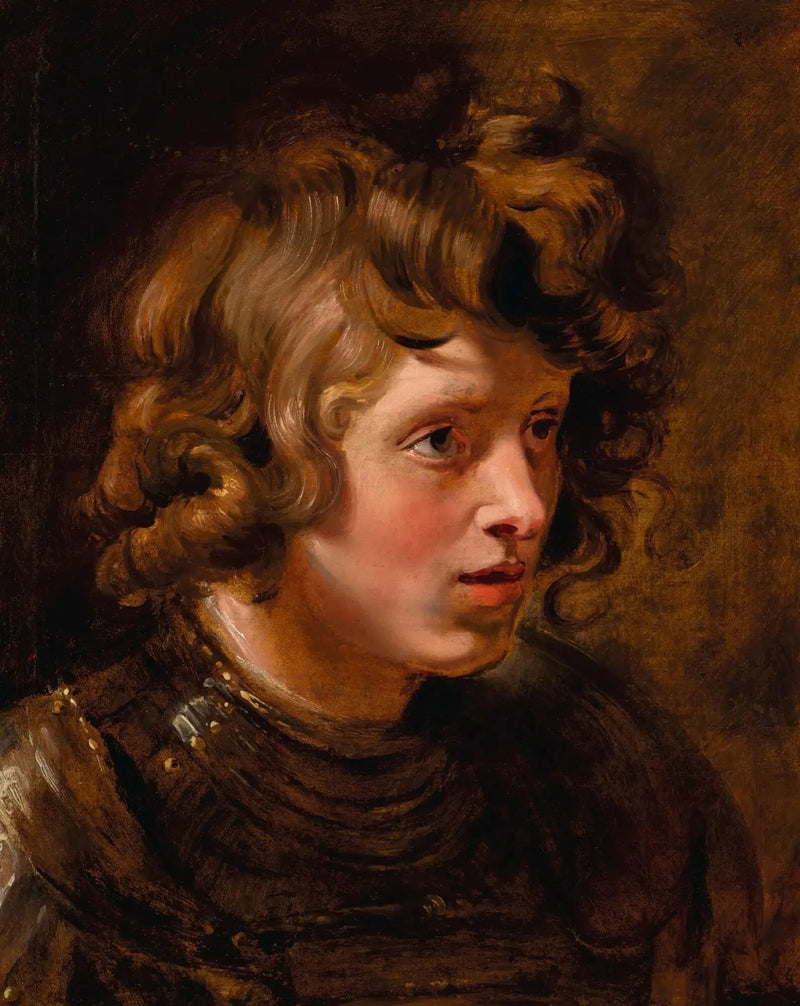 Head of a Young Man Wearing Armor - Peter Paul Rubens