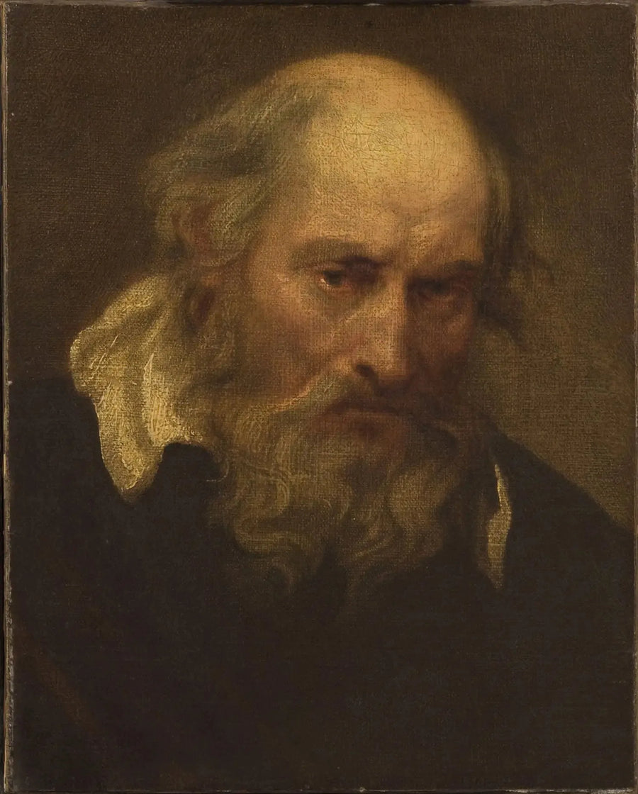 Head of an Old Man - Antoine van Dyck