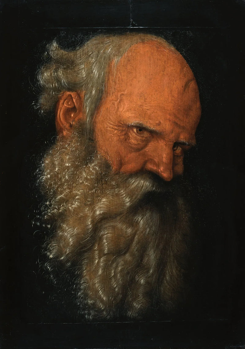 Head of an Old Bearded Man - Hans Baldung Grien