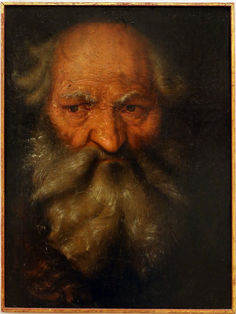 Head of an Old Man - Hans Baldung Grien