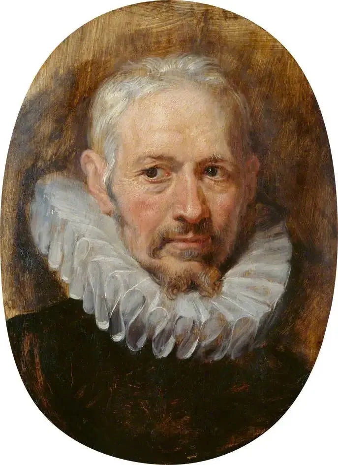 Head of an Old Man - Peter Paul Rubens