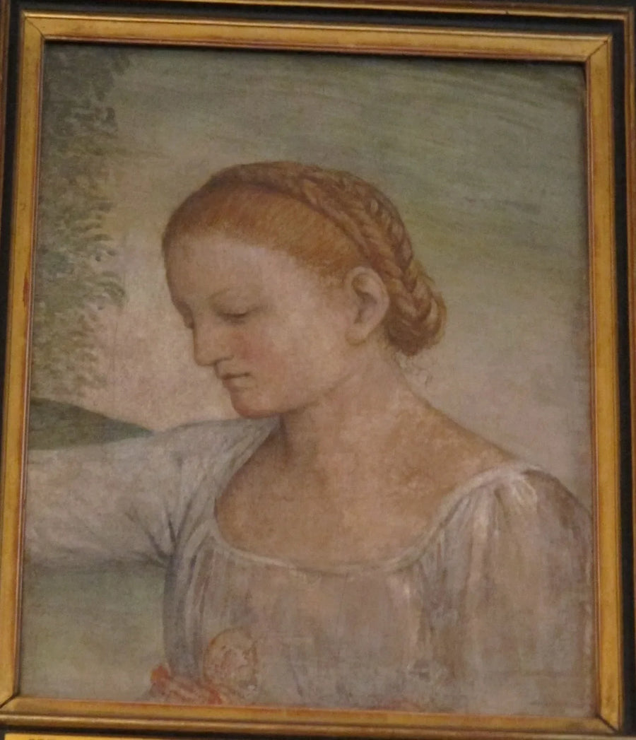 Head of a Girl - Bernardino Luini