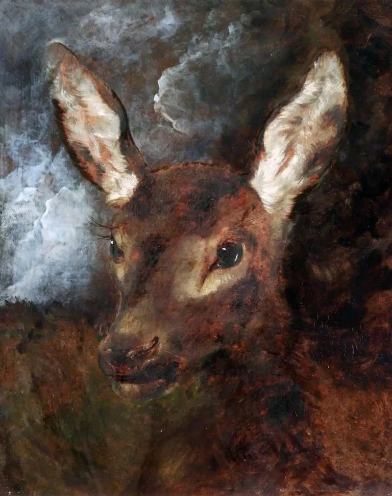 Stag Head - Edwin Henry Landseer