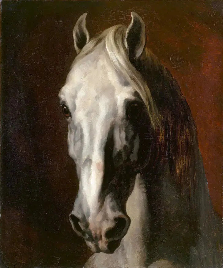 White Horse Head - Théodore Géricault